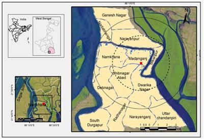 Determinants influencing fishermen’s willingness-to-participate and willingness-to-pay for conservation of small indigenous fishes: a model-based insight from Indian Sundarbans